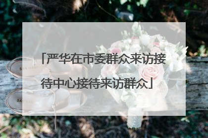 严华在市委群众来访接待中心接待来访群众