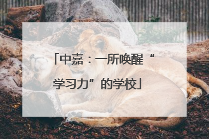 中嘉：一所唤醒“学习力”的学校