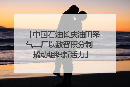 中国石油长庆油田采气二厂以数智积分制 撬动组织新活力