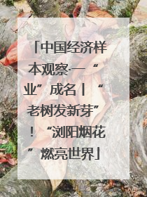 中国经济样本观察·一“业”成名丨“老树发新芽”！“浏阳烟花”燃亮世界