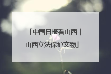 中国日报看山西｜山西立法保护文物