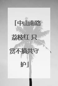 中山南路荔枝红 只赏不摘共守护