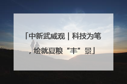 中新武威观｜科技为笔，绘就夏粮“丰”景