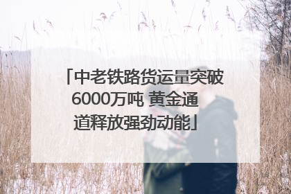 中老铁路货运量突破6000万吨 黄金通道释放强劲动能