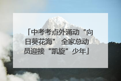 中考考点外涌动“向日葵花海” 全家总动员迎接“凯旋”少年