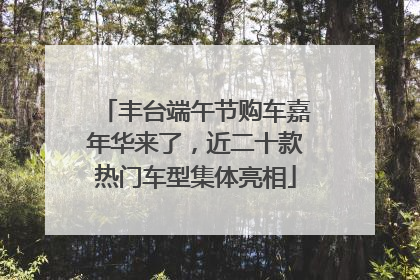 丰台端午节购车嘉年华来了，近二十款热门车型集体亮相