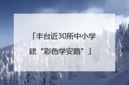 丰台近30所中小学建“彩色学安路”