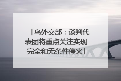 乌外交部：谈判代表团将重点关注实现完全和无条件停火