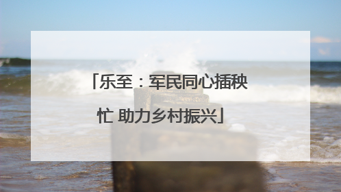 乐至：军民同心插秧忙 助力乡村振兴
