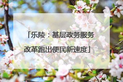 乐陵：基层政务服务改革跑出便民新速度