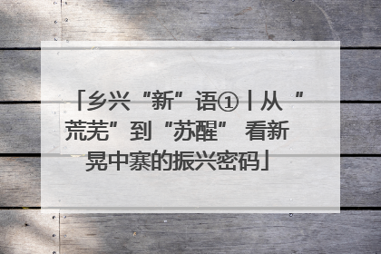 乡兴“新”语①丨从“荒芜”到“苏醒” 看新晃中寨的振兴密码