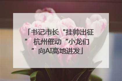 书记市长“挂帅出征” 杭州催动“小龙们”向AI高地进发