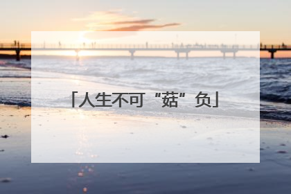 人生不可“菇”负