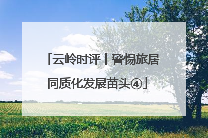云岭时评丨警惕旅居同质化发展苗头④