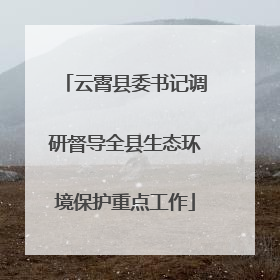 云霄县委书记调研督导全县生态环境保护重点工作