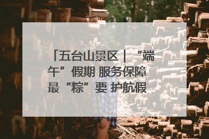 五台山景区｜“端午”假期 服务保障最“粽”要 护航假期“不打烊”