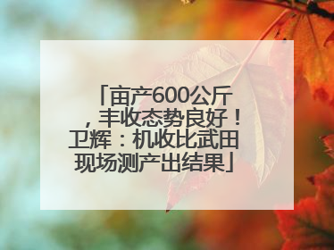 亩产600公斤，丰收态势良好！卫辉：机收比武田现场测产出结果