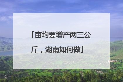 亩均要增产两三公斤，湖南如何做