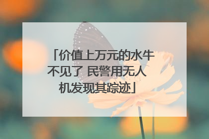 价值上万元的水牛不见了 民警用无人机发现其踪迹