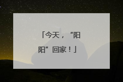 今天，“阳阳”回家！