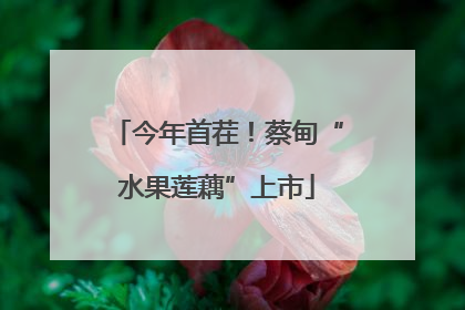 今年首茬！蔡甸“水果莲藕”上市