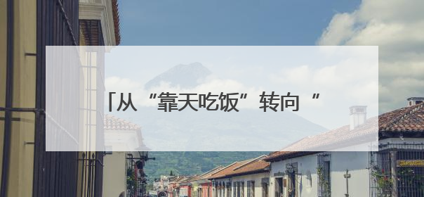 从“靠天吃饭”转向“数据种田” 江西安福绘就智慧农业新画卷
