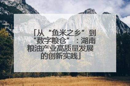 从“鱼米之乡”到“数字粮仓”：湖南粮油产业高质量发展的创新实践