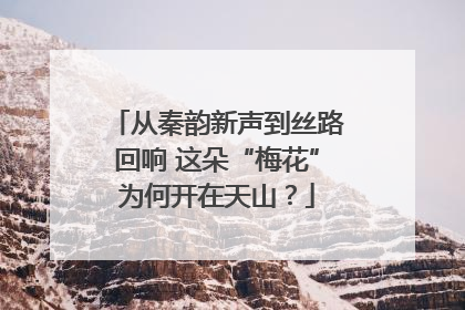 从秦韵新声到丝路回响 这朵“梅花”为何开在天山？