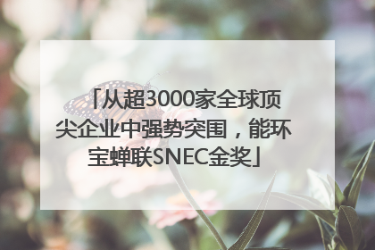 从超3000家全球顶尖企业中强势突围，能环宝蝉联SNEC金奖