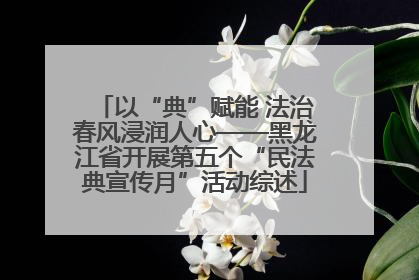 以“典”赋能 法治春风浸润人心——黑龙江省开展第五个“民法典宣传月”活动综述