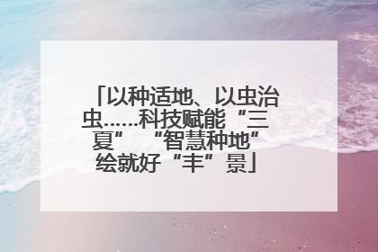 以种适地、以虫治虫……科技赋能“三夏” “智慧种地”绘就好“丰”景