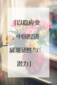 以稳应变，中国经济展现韧性与潜力