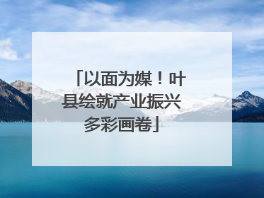 以面为媒！叶县绘就产业振兴多彩画卷