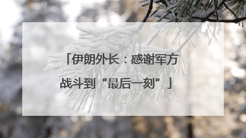 伊朗外长：感谢军方战斗到“最后一刻”