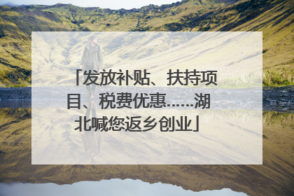 发放补贴、扶持项目、税费优惠……湖北喊您返乡创业