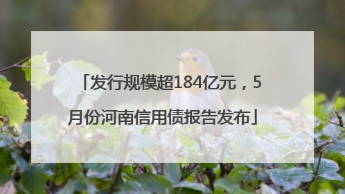 发行规模超184亿元，5月份河南信用债报告发布