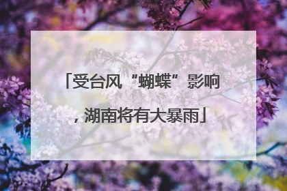 受台风“蝴蝶”影响，湖南将有大暴雨