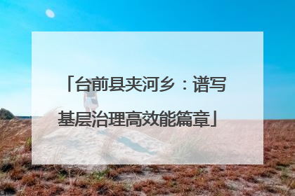 台前县夹河乡：谱写基层治理高效能篇章