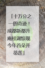 十万分之一的奇迹！成都新都升庵桂湖惊现今年首朵并蒂莲