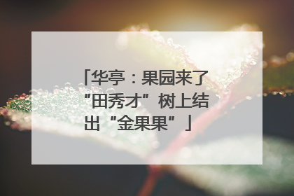 华亭：果园来了“田秀才”树上结出“金果果”