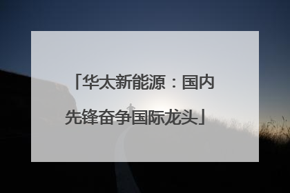 华太新能源：国内先锋奋争国际龙头