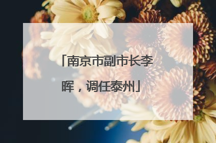 南京市副市长李晖，调任泰州