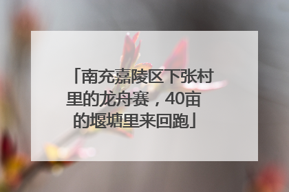 南充嘉陵区下张村里的龙舟赛，40亩的堰塘里来回跑