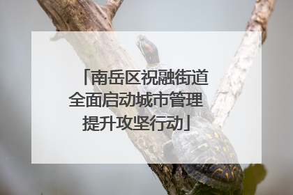 南岳区祝融街道全面启动城市管理提升攻坚行动