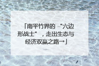 南平竹界的 “六边形战士”，走出生态与经济双赢之路→
