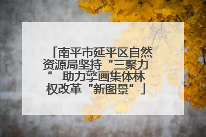 南平市延平区自然资源局坚持“三聚力” 助力擎画集体林权改革“新图景”