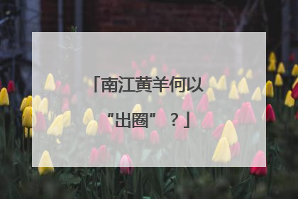南江黄羊何以“出圈”？