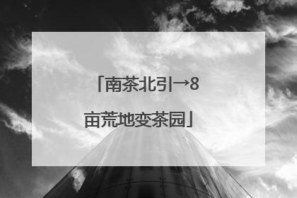 南茶北引→8亩荒地变茶园