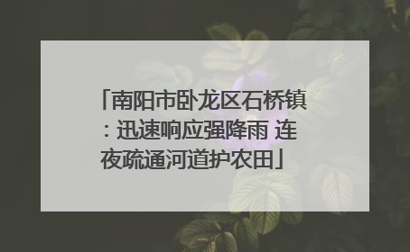 南阳市卧龙区石桥镇：迅速响应强降雨 连夜疏通河道护农田