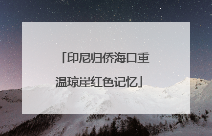 印尼归侨海口重温琼崖红色记忆